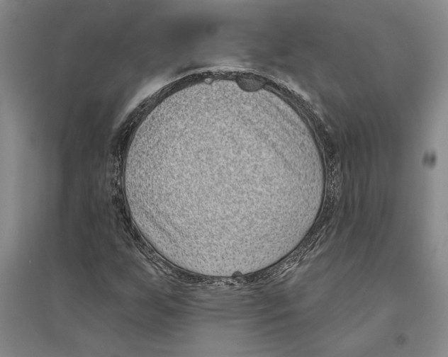X0000094071255200711161539