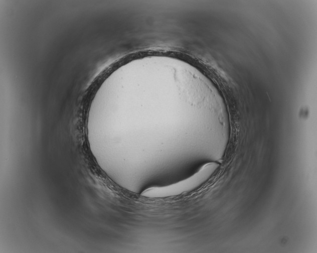 X0000094071256200711161539
