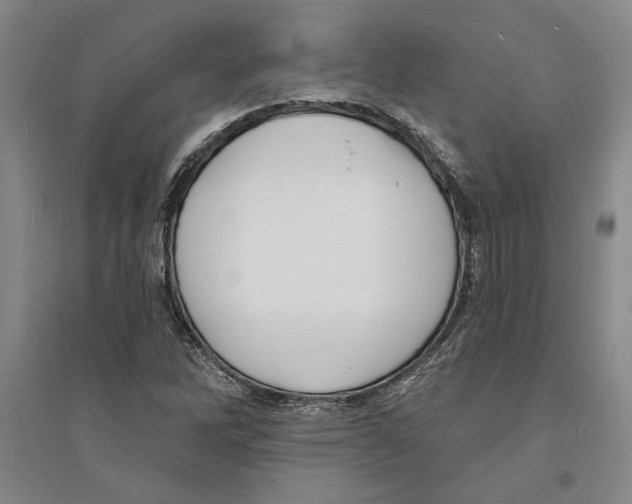 X0000094071262200711161539