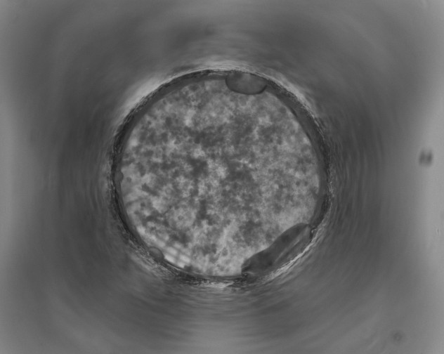 X0000094071263200711161539