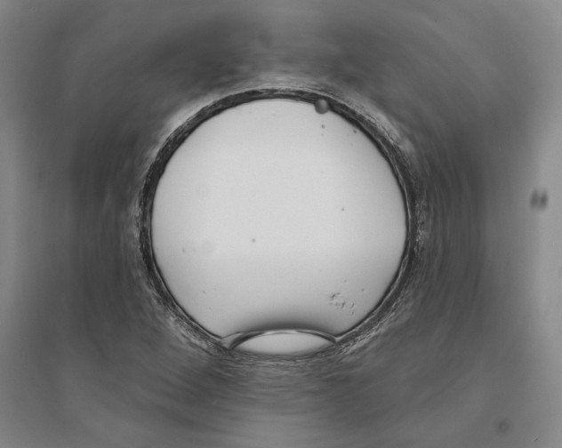 X0000094071264200711161539