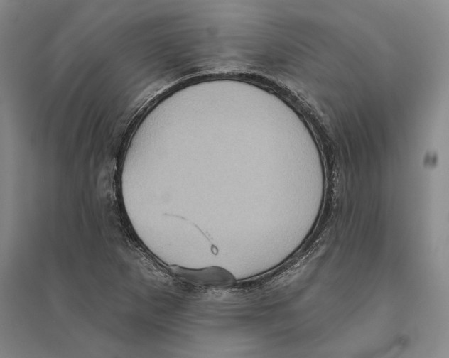 X0000094071265200711161539