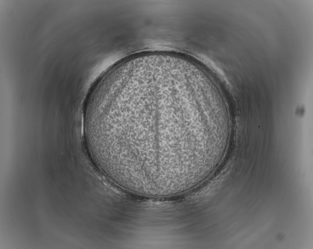 X0000094071269200711161539