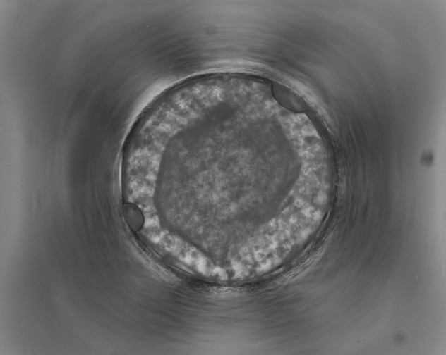 X0000094071275200711161539