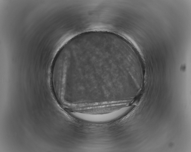 X0000094071277200711161539