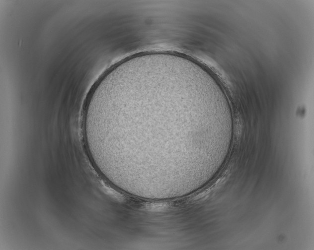 X0000094071278200711161539