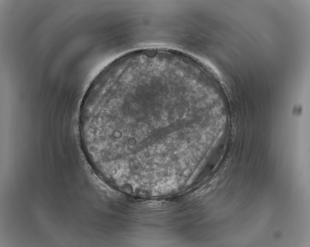 X0000094071279200711161539