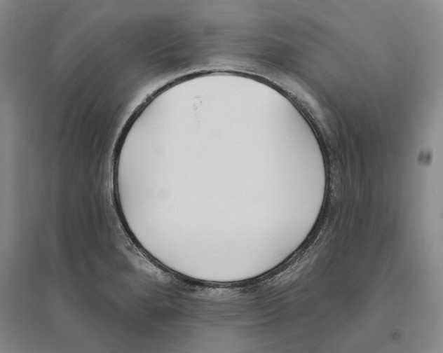 X0000094071280200711161539