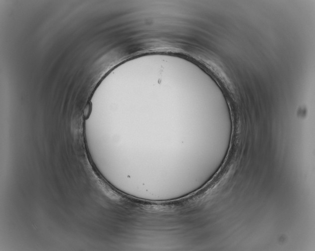 X0000094071281200711161539