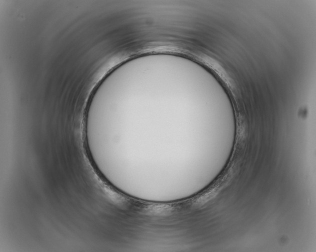 X0000094071282200711161539