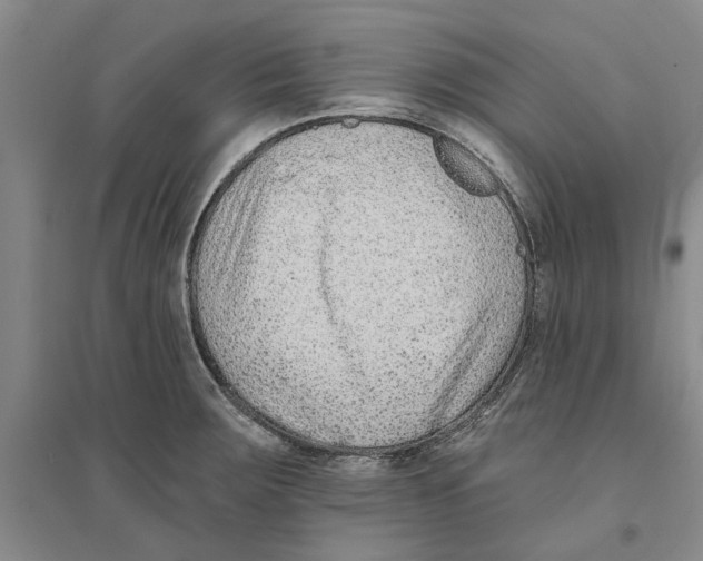X0000094071283200711161539
