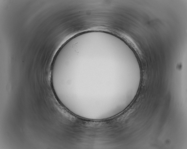 X0000094071284200711161539