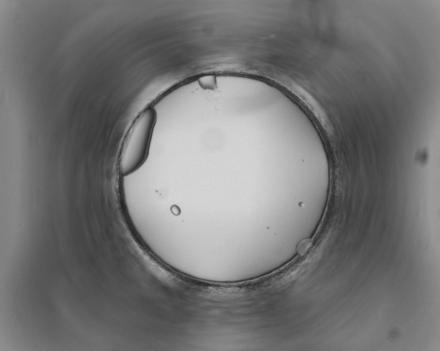 X0000094071285200711161539