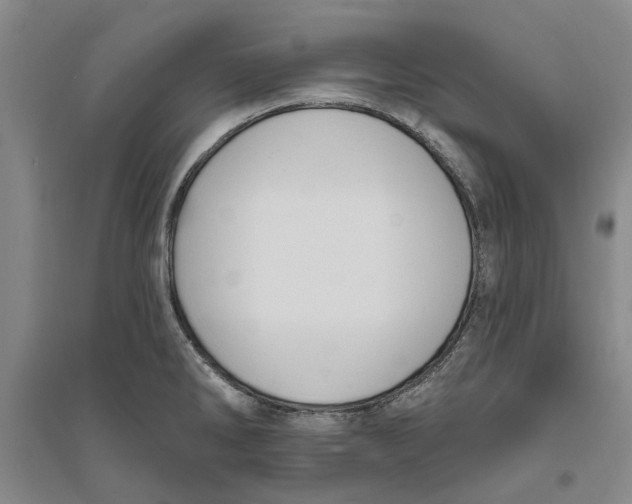 X0000094071286200711161539