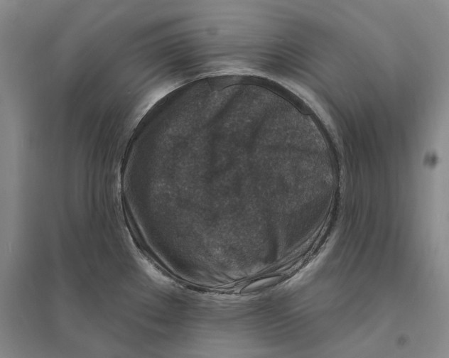 X0000094071289200711161539