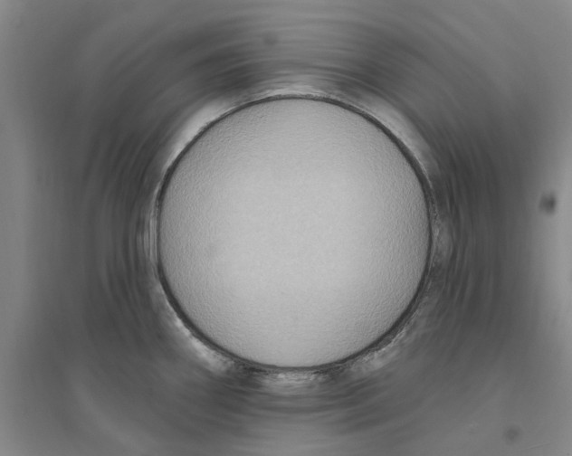 X0000094071290200711161539