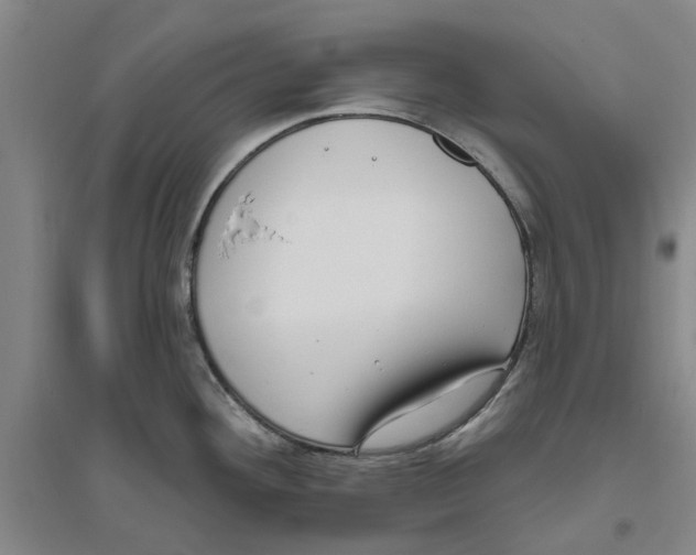 X0000094071292200711161539