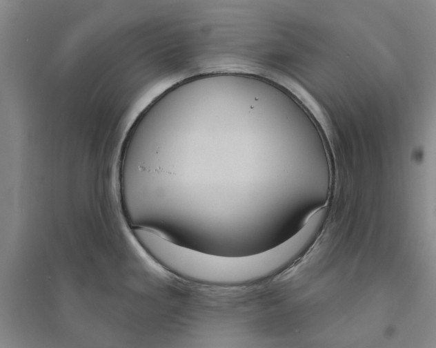 X0000094071293200711161539