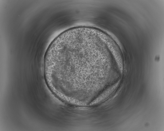 X0000094071295200711161539