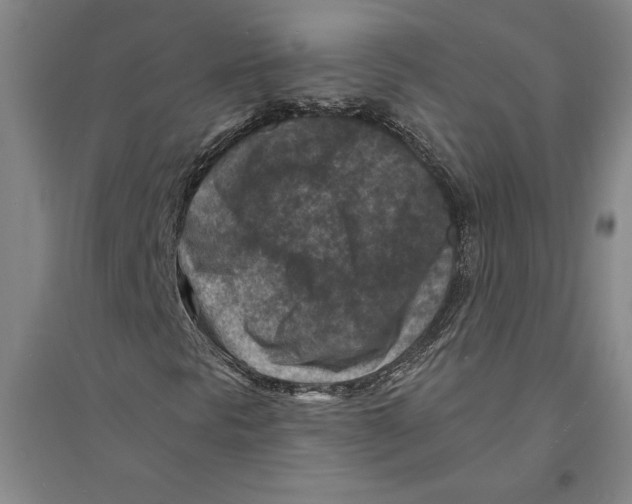 X0000094071297200711161538