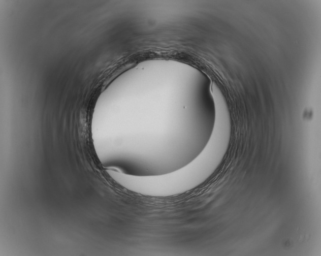 X0000094071298200711161538