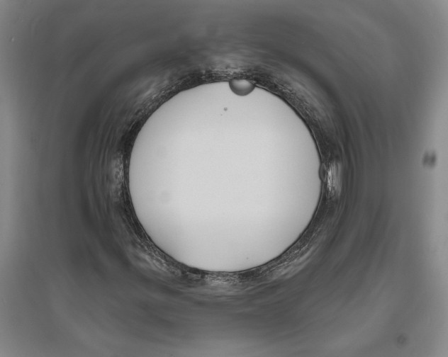 X0000094071299200711161538