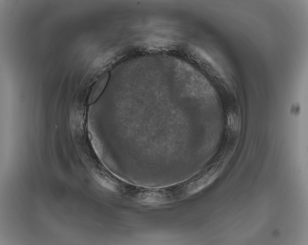 X0000094071300200711161538