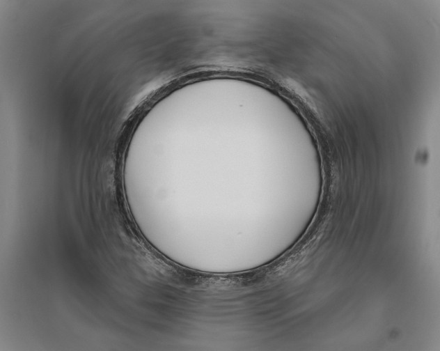 X0000094071307200711161538