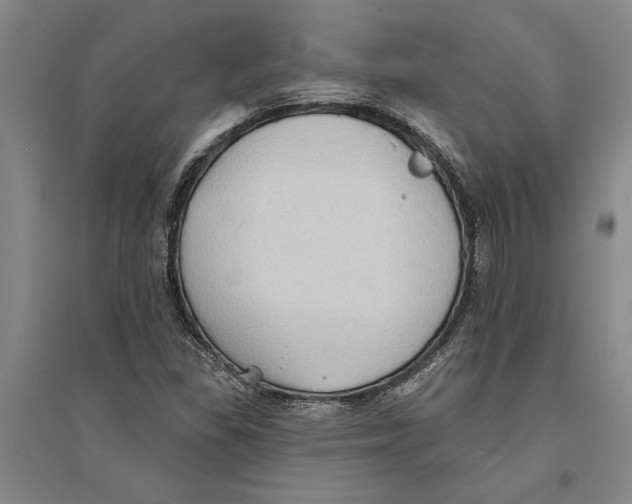 X0000094071309200711161538
