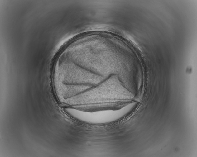 X0000094071312200711161538