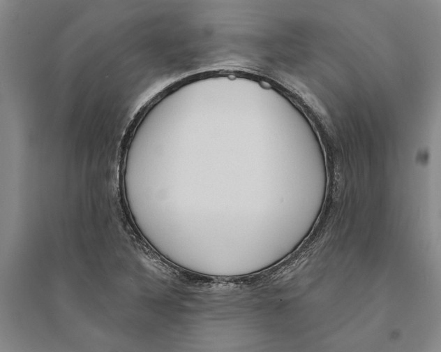 X0000094071316200711161538