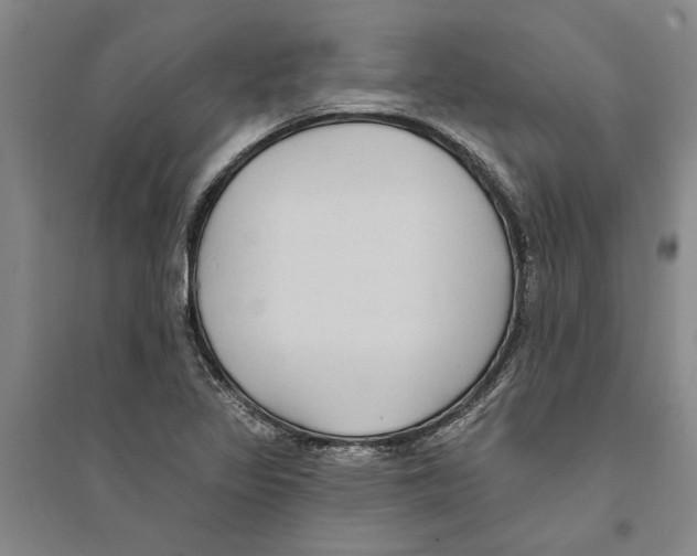 X0000094071317200711161538