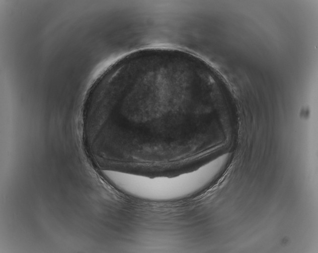X0000094071319200711161538
