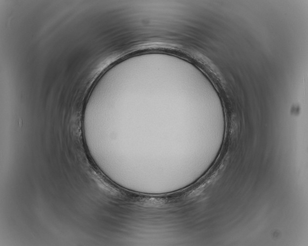 X0000094071321200711161538