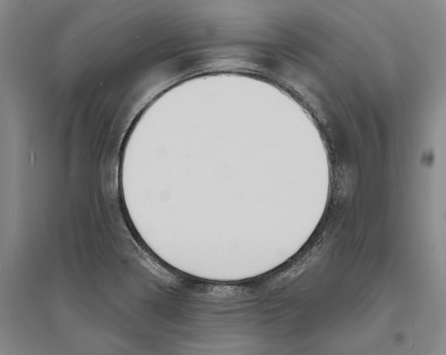 X0000094071322200711161538