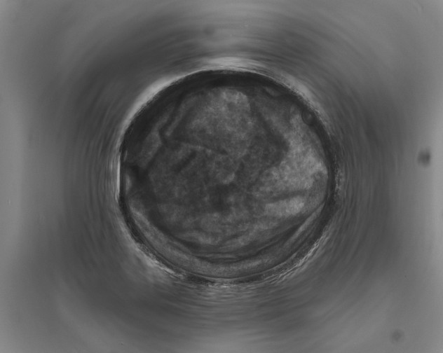 X0000094071323200711161538