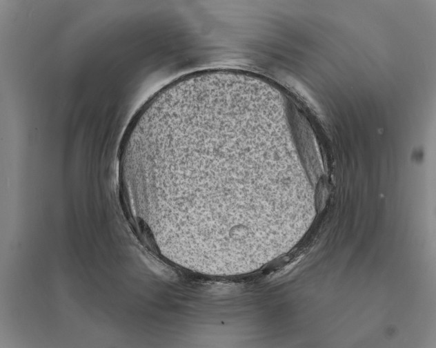 X0000094071324200711161538