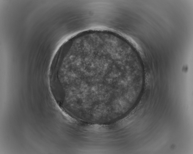 X0000094071327200711161538
