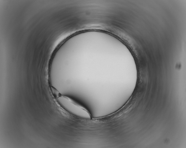 X0000094071328200711161538