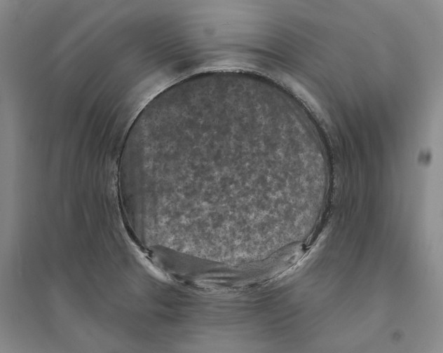 X0000094071329200711161538