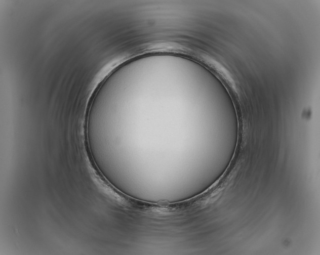 X0000094071330200711161538