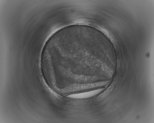 X0000094071331200711161538