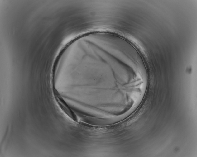 X0000094071334200711161538