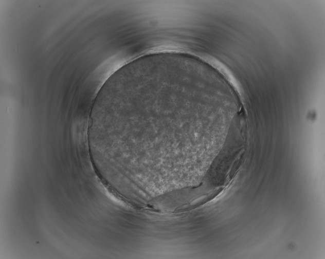 X0000094071337200711161538
