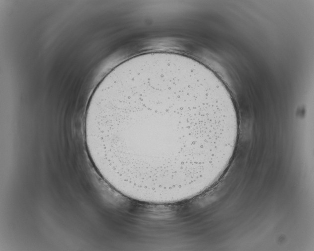 X0000094071338200711161538