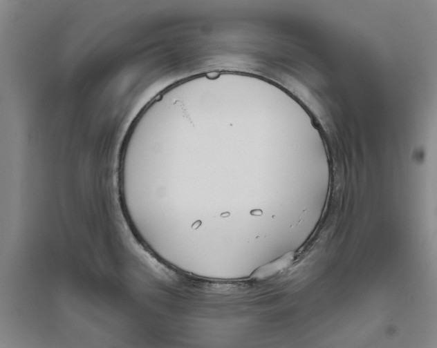 X0000094071339200711161539