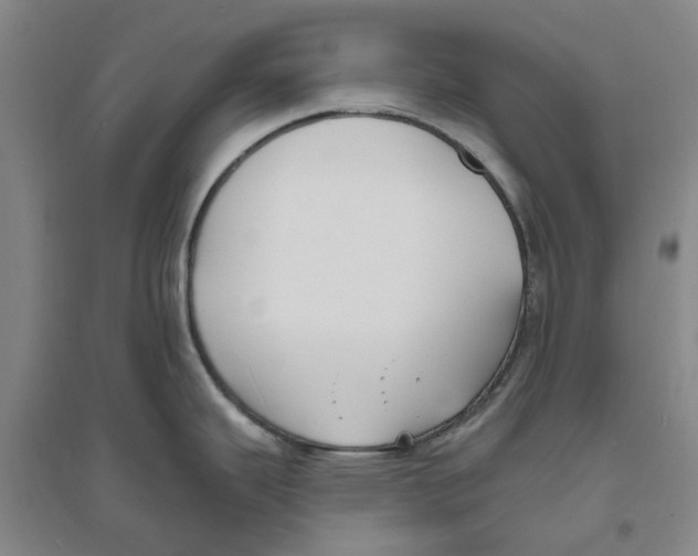 X0000094071343200711161539