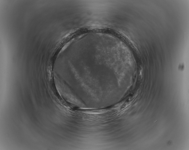 X0000094071348200711161538