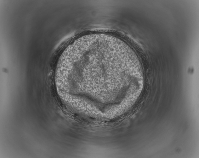 X0000094071351200711161538