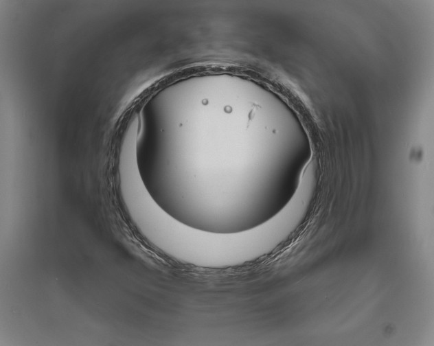 X0000094071352200711161538